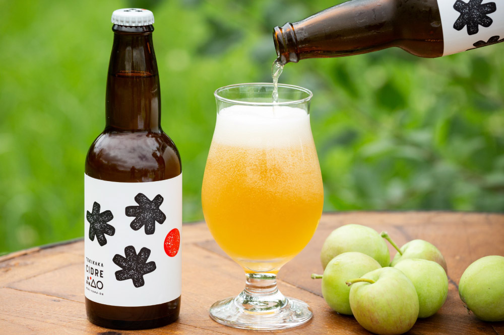 テキカカシードル